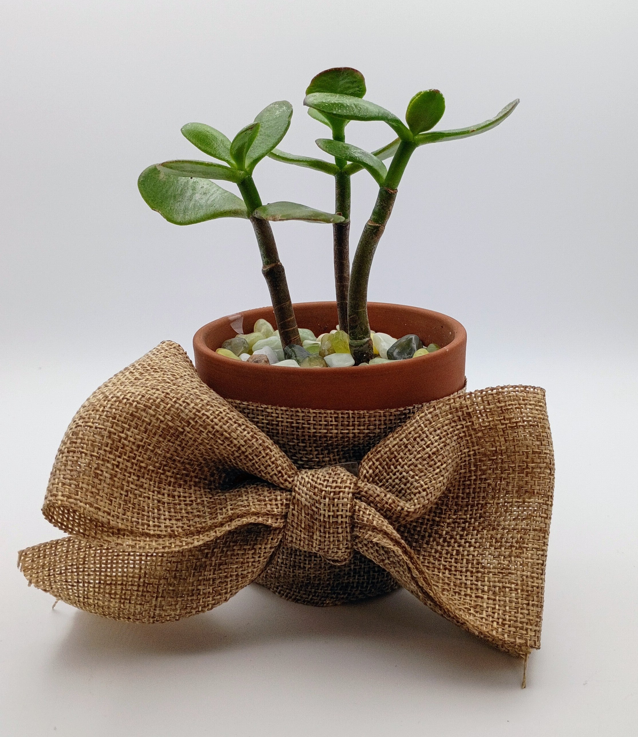 February Special: Random Acts of Kindness
