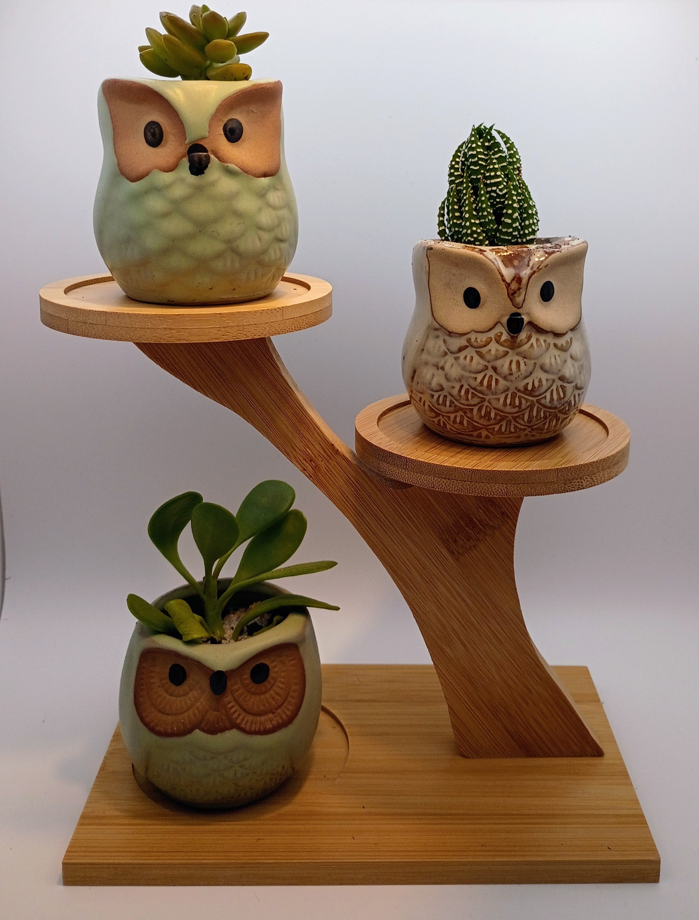Plants with No Backstory