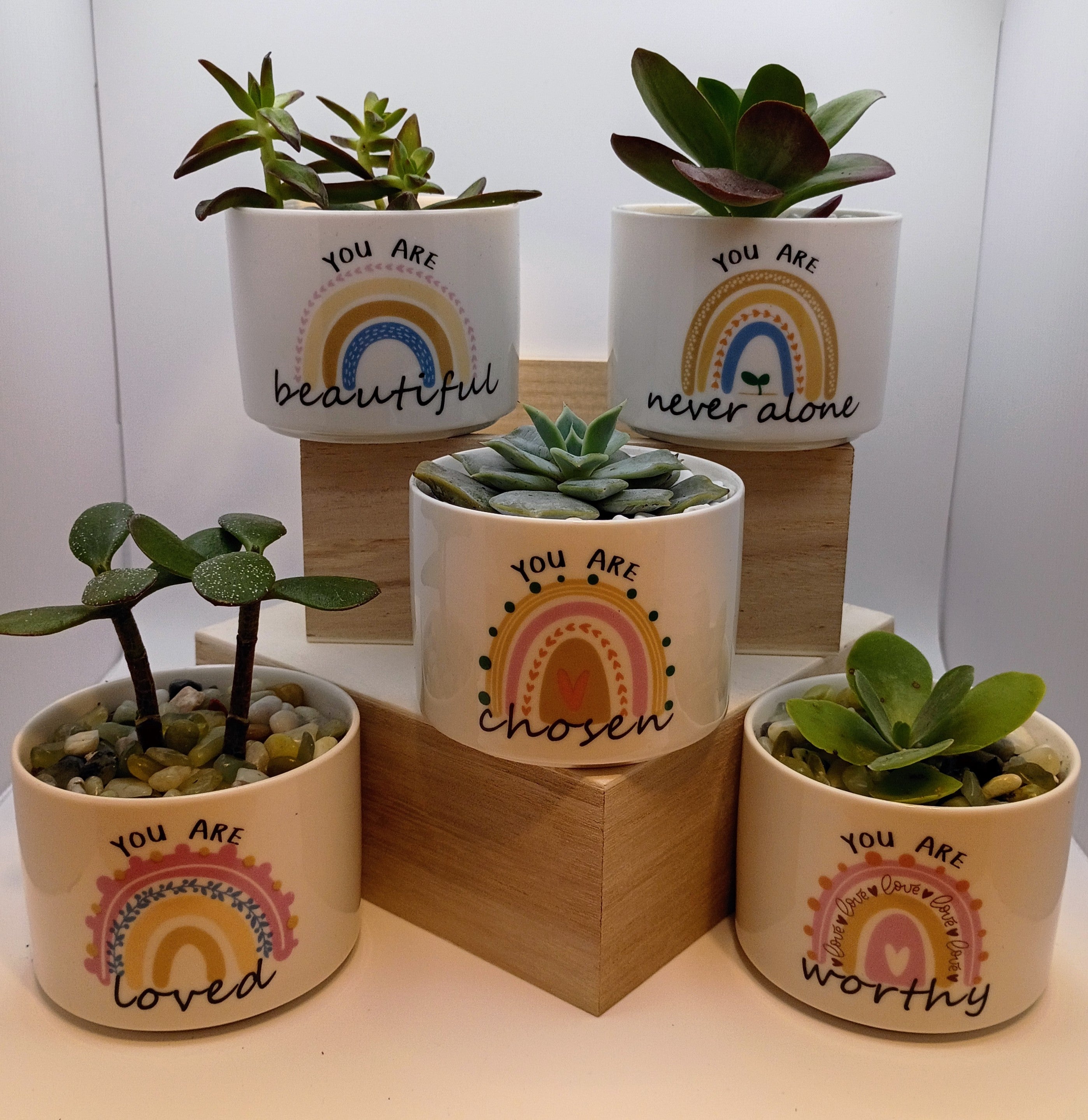 Grow in Faith: 4-Inch Inspirational Planters