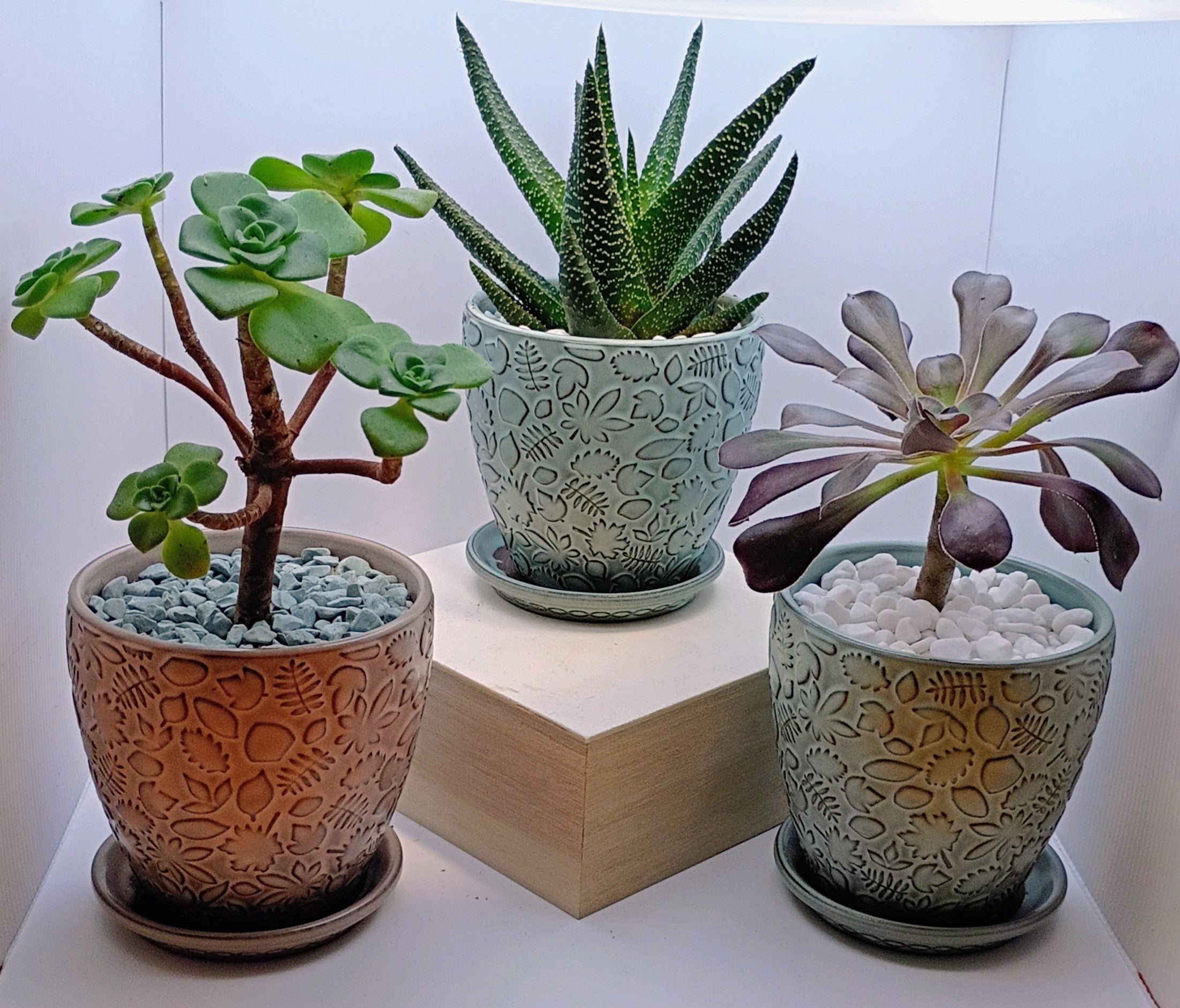 Single 4-inch Pots