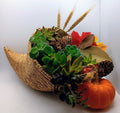 Succ & Sip at the Glass Tomato, Wednesday, October 21, 2026, 6-8:00 PM