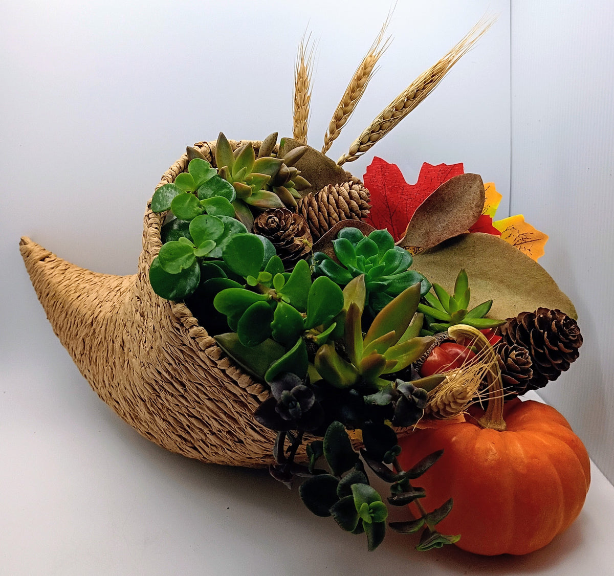 Succ & Sip at the Glass Tomato, Wednesday, October 21, 2026, 6-8:00 PM