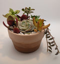 Sunday, June 14, 2:00-5:00 PM--Succ & Sip at the KC Wine Co