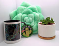 3-Month Subscription: Weirdo Succs and Chaotic Chunks