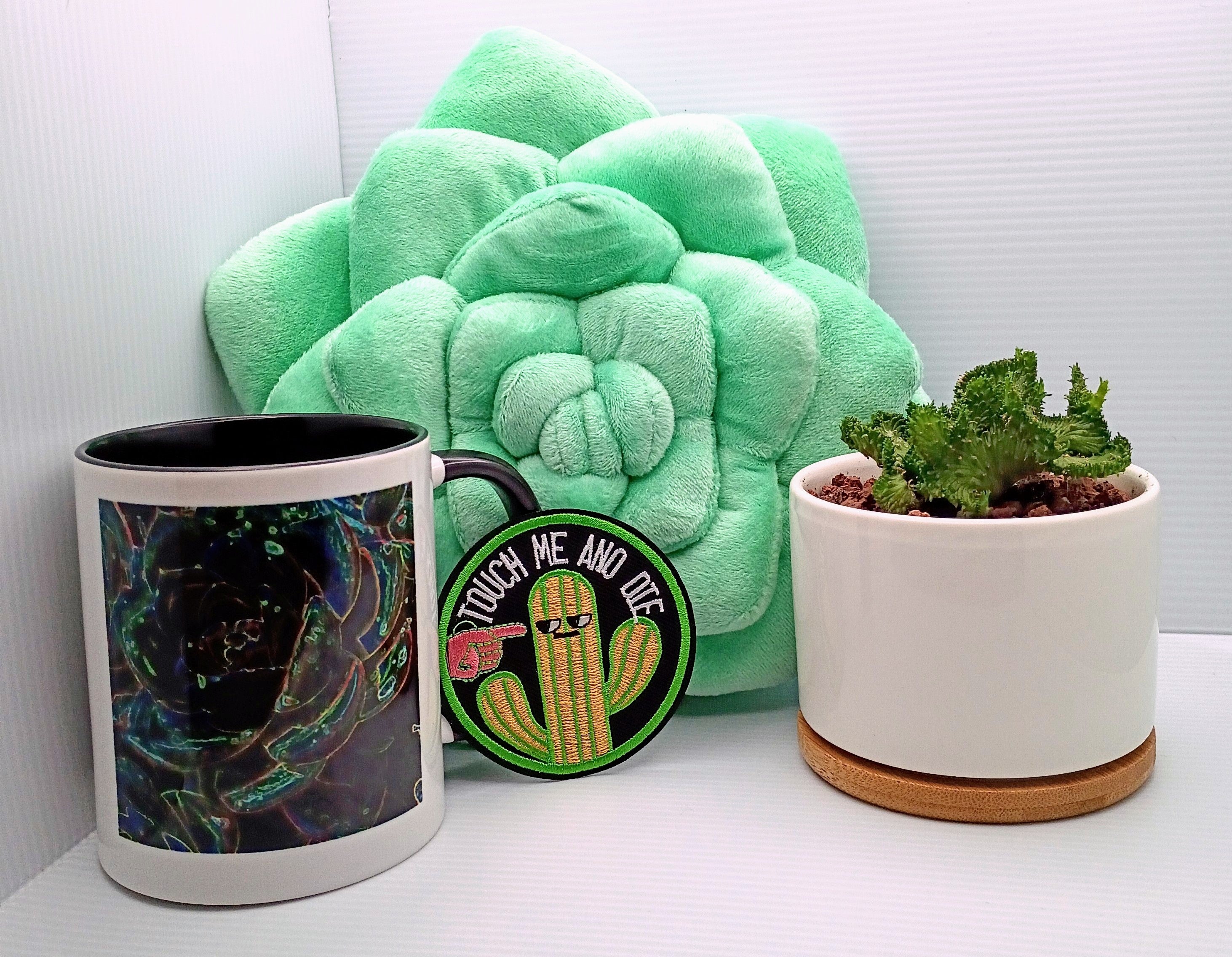 3-Month Subscription: Weirdo Succs and Chaotic Chunks